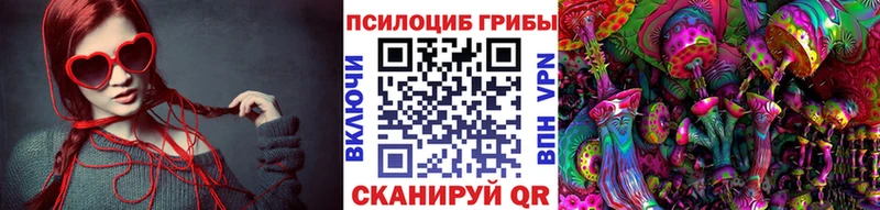 Купить  Старица  Галлюциногенные грибы прущие грибы 